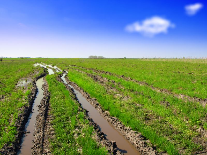 Before and After Yard Leveling