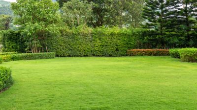 Create a Level Yard!