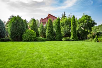 Keep Your Yard in Good Condition!